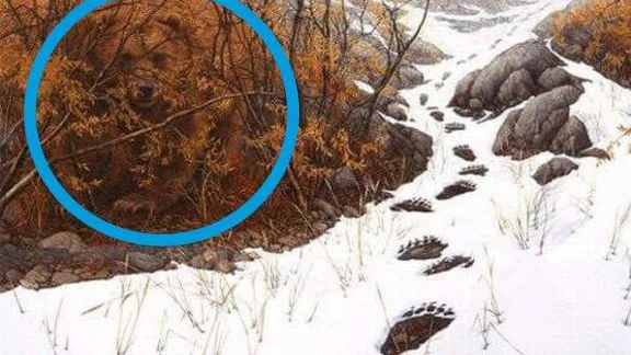 KEINER schafft es innerhalb von wenigen Sekunden die zwei Bären in dieser Abbildung zu entdecken! Du schon?