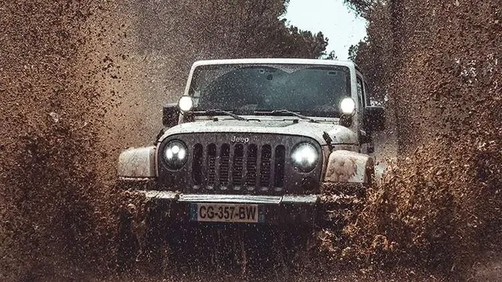 Ci pracownicy znaleźli gigantycznego węża - nie uwierzysz, co znaleźli w środku!