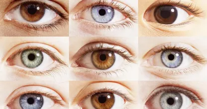 Jouw oogkleur zegt meer over je dan je denkt! Welke kleur hebben jouw ogen?