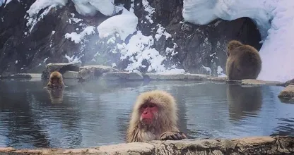 Wildlife pictures you normally don't see