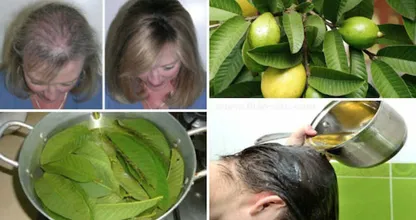 Leidest du unter Haarausfall? Verzweifel nicht; die Lösung steckt in diesen Blättern.