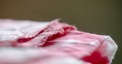 Zo krijg je vlekken van rood fruit uit je kleding