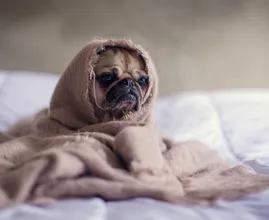 4 tips voor als je moeite hebt met de donkere dagen