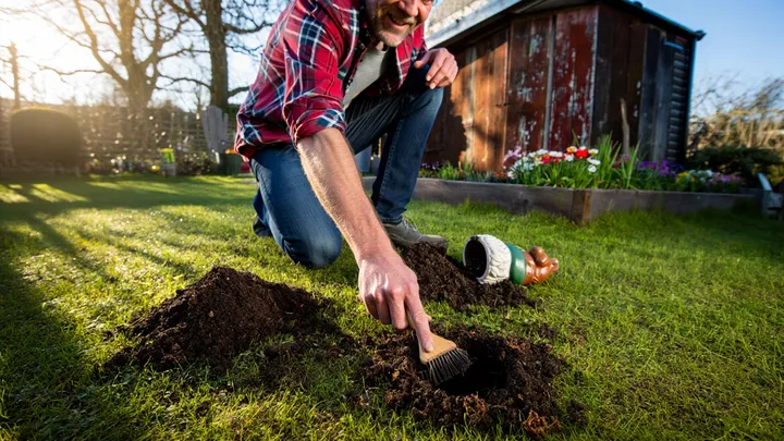 Maulwurf gräbt immer wieder den Garten eines Mannes um - aber der wahre Grund lässt ihn zu Hilfe eilen