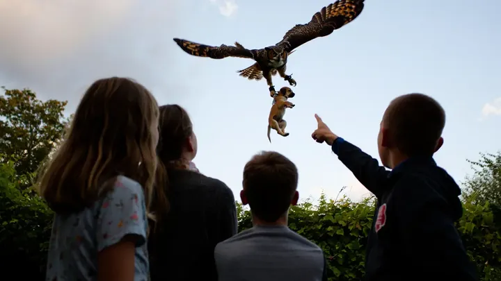 Horned Owl Snatches Puppy from Yard – What the Neighbors Discover Will Blow Your Mind!