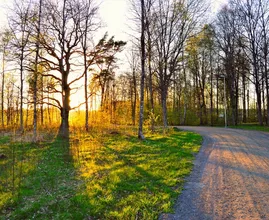 Zet de zonnebril maar op: komend weekend volop zon