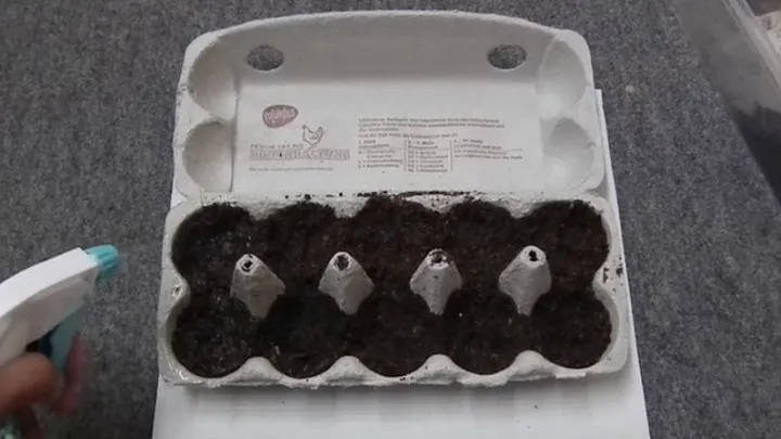 Don't throw out your empty egg cartons: this is what you can do with them! Amazing!