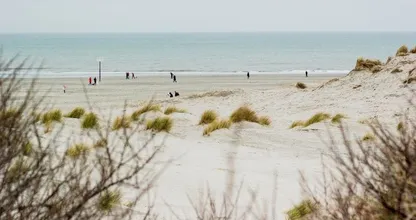Harde klap voor toerisme: 70 procent minder buitenlanders naar Nederland