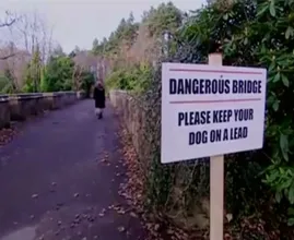 Groot mysterie rondom ‘zelfmoordbrug’ waar honderden honden vanaf sprongen
