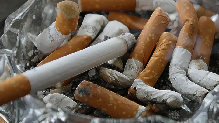 Europese experts: menthol in tabaksproducten moet verboden worden