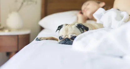 Por qué te levantas por la noche y qué no debes hacer