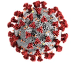 Dit is alles wat we nu weten over de mutatie van het coronavirus 