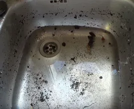 Abfluss verstopft? Mit diesen 2 Zutaten wird der sofort wieder frei!