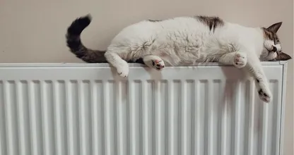 Dit is wat we gemiddeld voor gas en energie moeten betalen