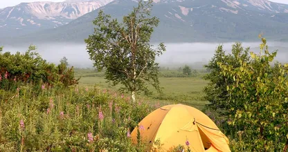Mit diesen 4 Camping Hacks wirst du zum Profi auf dem Zeltplatz