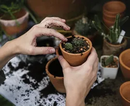 Wow! This is what gardening can do for your mental health!
