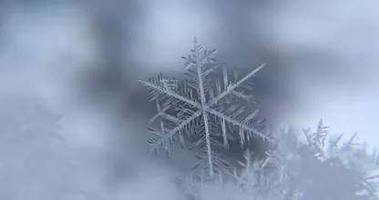 Durf te vragen: gaat het op sinterklaasavond sneeuwen?