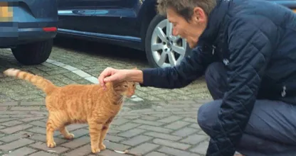 Een klein wonder: Vanaf eind september vermiste kat meldt zich bij politie Haarlem!