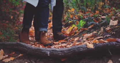 Aan de herfstwandel: droog herfstweer en stralende najaarsdag op komst