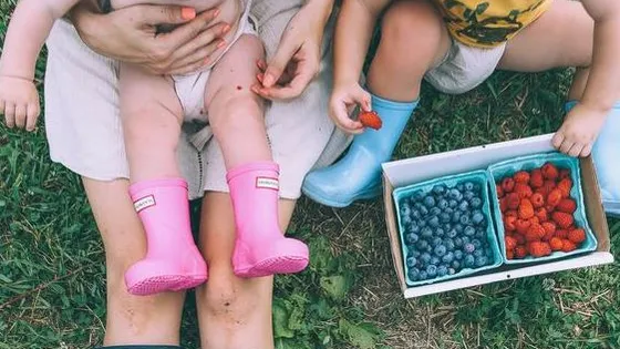 Idee: Kinder dürfen die Ferientage gestalten