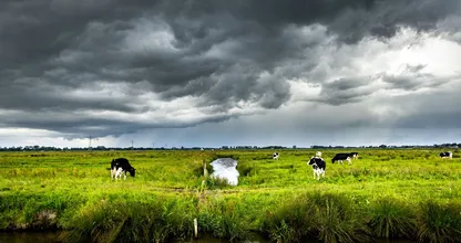 Dit is de weersverwachting voor de komende dagen
