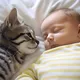 Katze lässt Baby nicht alleine schlafen - Eltern rufen die Polizei, wenn sie herausfinden warum