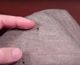 Motten laten je kleding met rust als je die op deze temperatuur wast