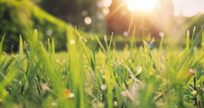 Lenteweer op komst! Deze week veel zon en amper regen